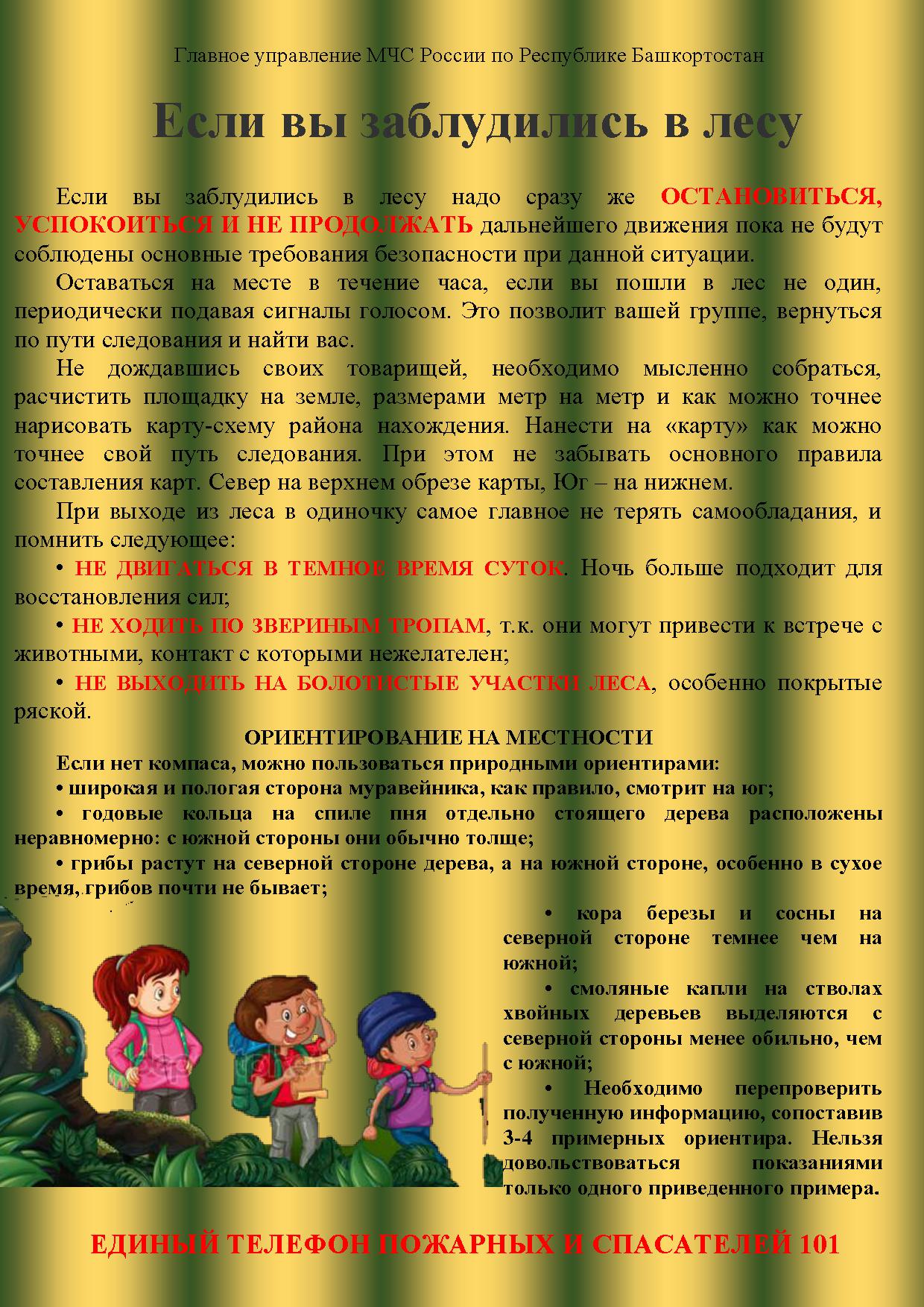 Если вы заблудились в лесу